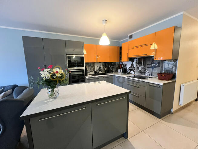 Mieszkanie Zielona Góra,