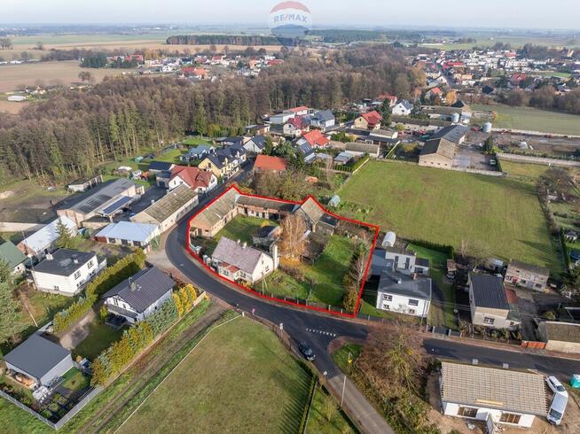 Podrzewie, dom + zabudowania na dużej działce