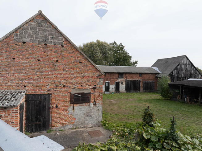 Podrzewie, dom + zabudowania na dużej działce
