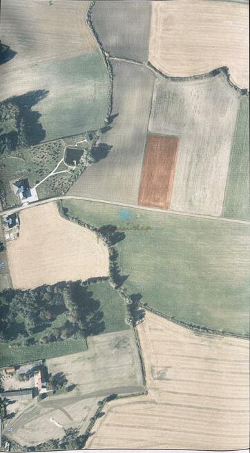 Działka przemysłowa Łubowo Rzegnowo, Rzegnowo