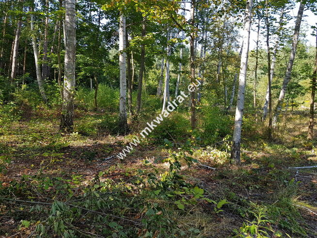 ⭐⭐⭐⭐ SuperDziałka dobra cena przy lesie Młochowski