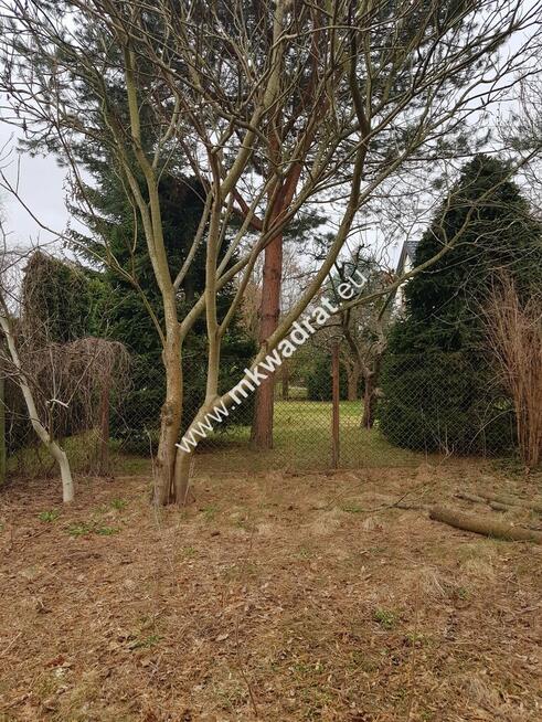 ⭐⭐⭐⭐ Blisko WKD na dom 2 lokal Media 1600m2 ⭐⭐⭐⭐