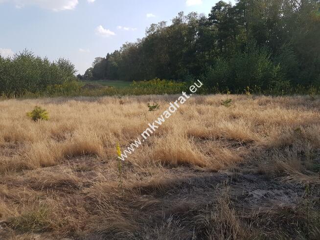 Działka przy lesie pod dom 2-lokalowy MPzP Media!