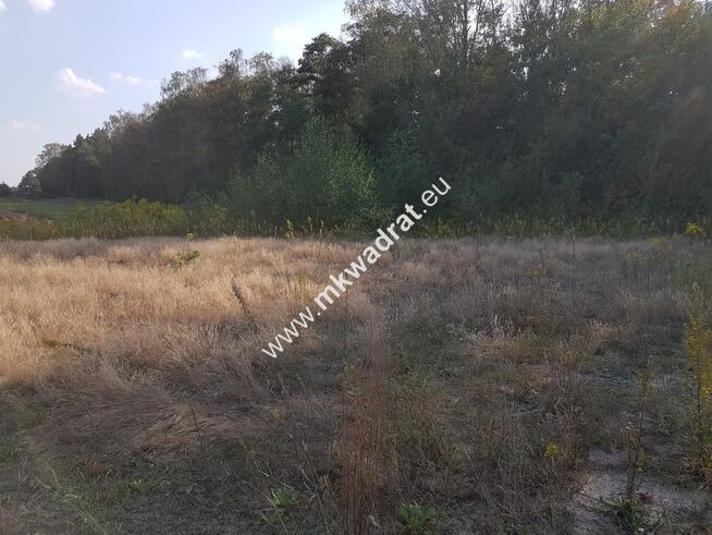 Działka przy lesie pod dom 2-lokalowy MPzP Media!