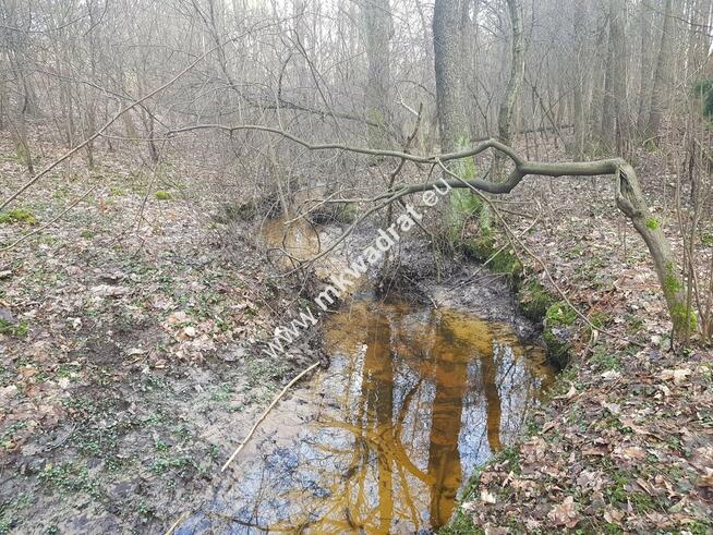 ⭐⭐⭐⭐2500 m2 urokliwa działka przy lesie z MPZP⭐⭐⭐⭐