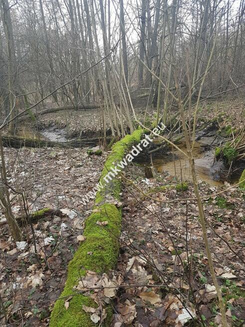 ⭐⭐⭐⭐2500 m2 urokliwa działka przy lesie z MPZP⭐⭐⭐⭐