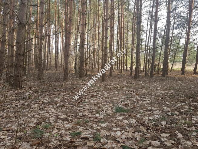⭐⭐⭐⭐2500 m2 urokliwa działka przy lesie z MPZP⭐⭐⭐⭐