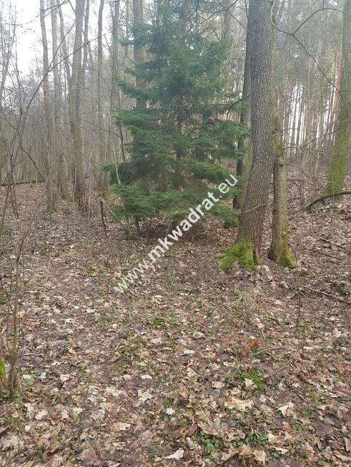 ⭐⭐⭐⭐2500 m2 urokliwa działka przy lesie z MPZP⭐⭐⭐⭐