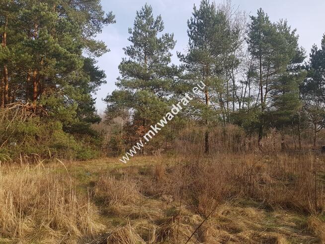 ⭐⭐⭐⭐2500 m2 urokliwa działka przy lesie z MPZP⭐⭐⭐⭐