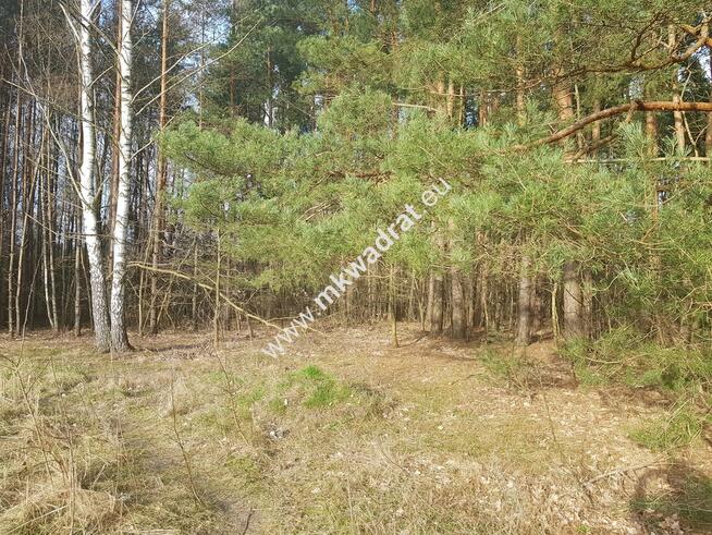 ⭐⭐⭐⭐2500 m2 urokliwa działka przy lesie z MPZP⭐⭐⭐⭐