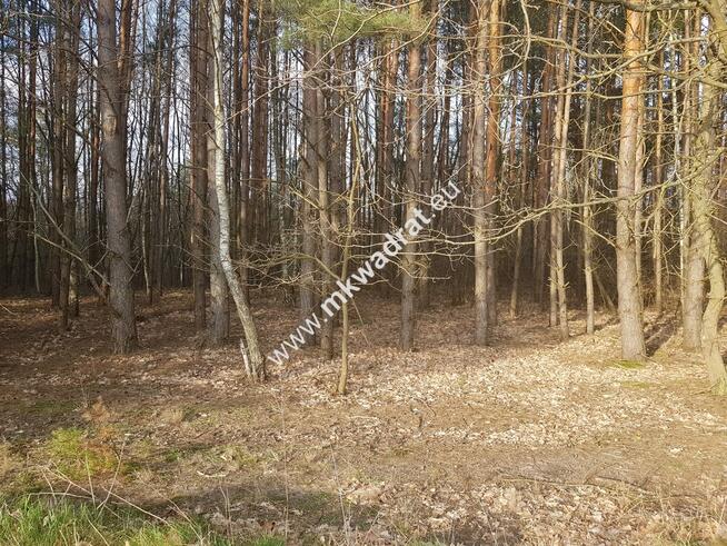 ⭐⭐⭐⭐2500 m2 urokliwa działka przy lesie z MPZP⭐⭐⭐⭐