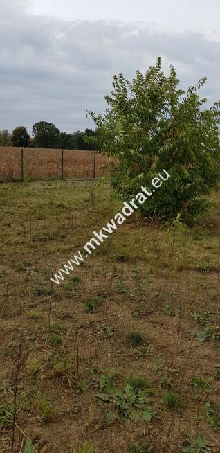 ⭐⭐⭐⭐1500 m2 z pozwoleniem na budowę domu⭐⭐⭐⭐