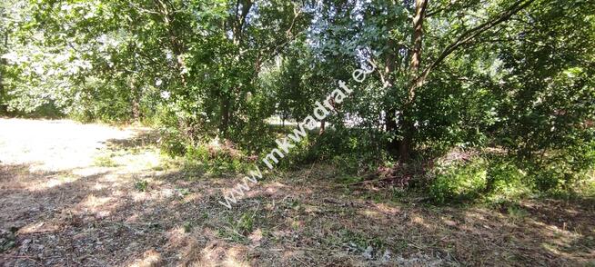 ⭐⭐⭐⭐⭐ Blisko WKD Z WARUNKAMI ZABUDOWY Media! ⭐⭐⭐⭐⭐