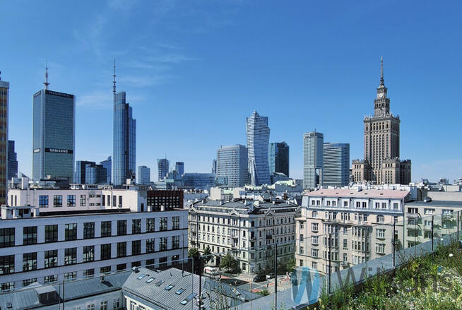 Lokal użytkowy Warszawa gm. Śródmieście Śródmieście, Marszałkowska