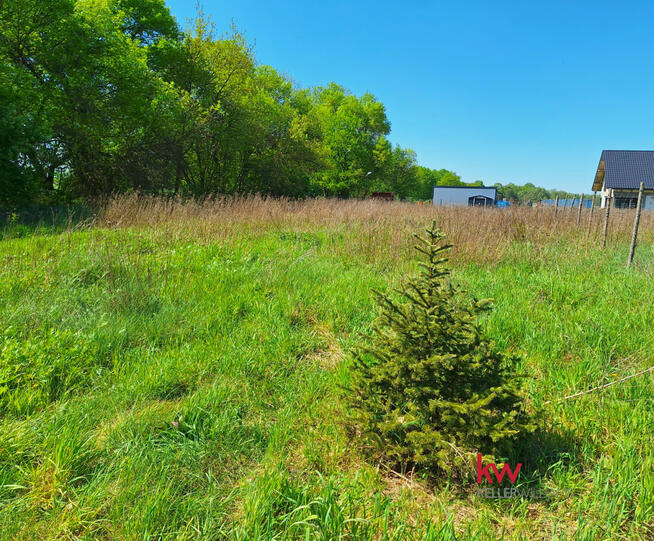 Działka budowlana Murzynowo gm. Skwierzyna,