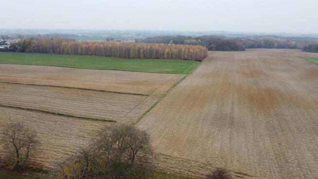 Smugi, 32 ar, blisko Lublina