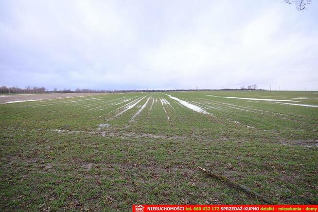 Wierciszów, działka budowlana MN, media.