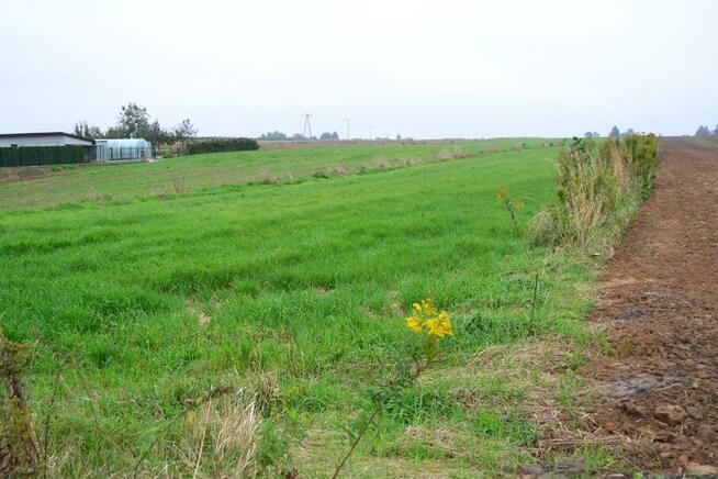 Radawiec Duży, działka budowlana, wydane WZ, media