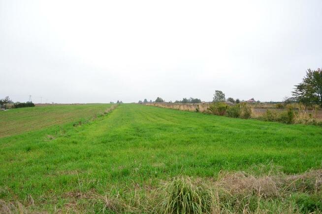 Radawiec Duży, działka budowlana, wydane WZ, media