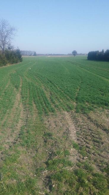 Jakubowice Kon. - Szeroka działka budowlana