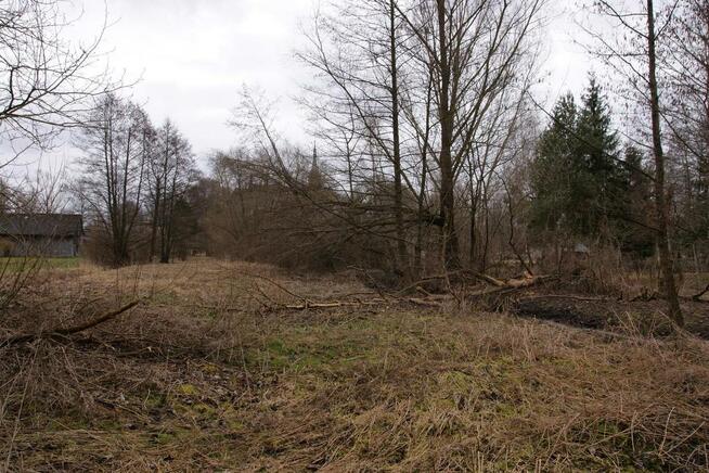 Siedlisko w Wąwolnicy.