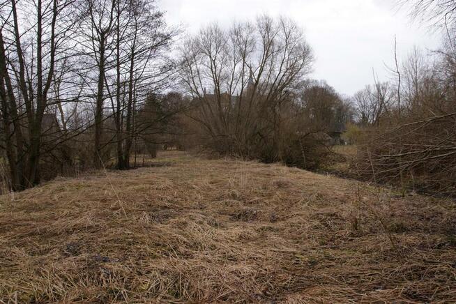 Siedlisko w Wąwolnicy.