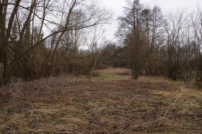 Siedlisko w Wąwolnicy.