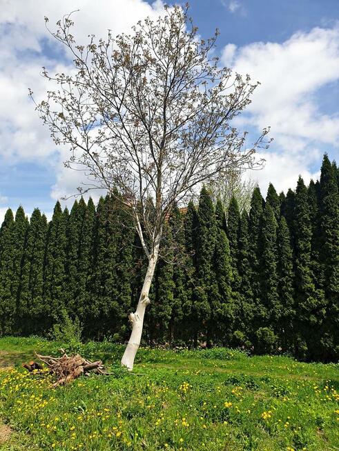 działka bud. położona w doskonałej lok. Lublina.