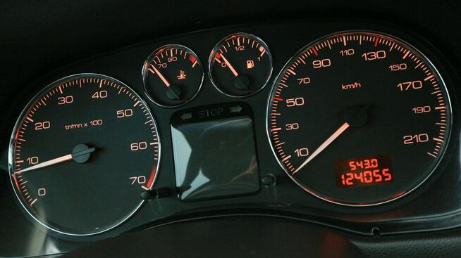 Peugeot 307 1,4 16V-Klimatyzacja-Elektryka-Niski Przebieg-124 000 km-1 Właściciel