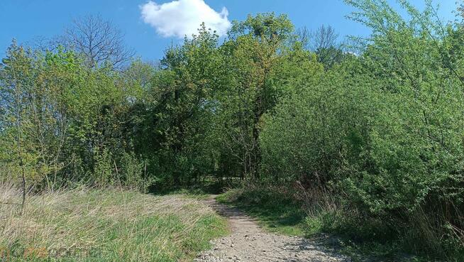 Mieszkanie Wrocław Krzyki, Brochów, Brochowska