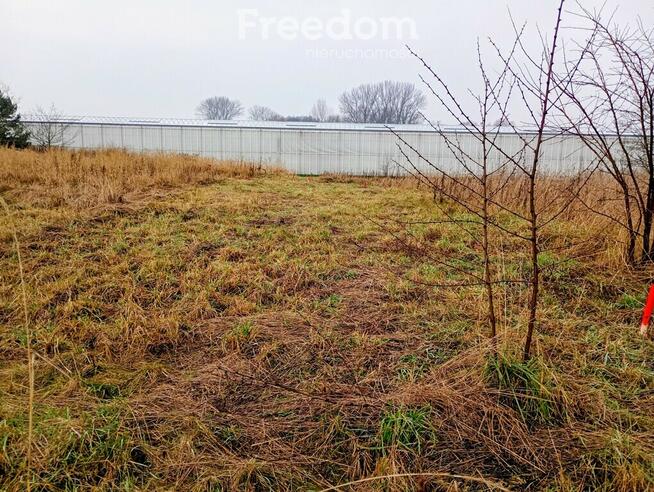 Kompleks 4 działek budowlanych, Sobiekursk.