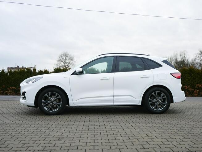 Ford Kuga 1.5 EcoBlue 120KM Eu6 St-Line -Automat 8b. - Zobacz