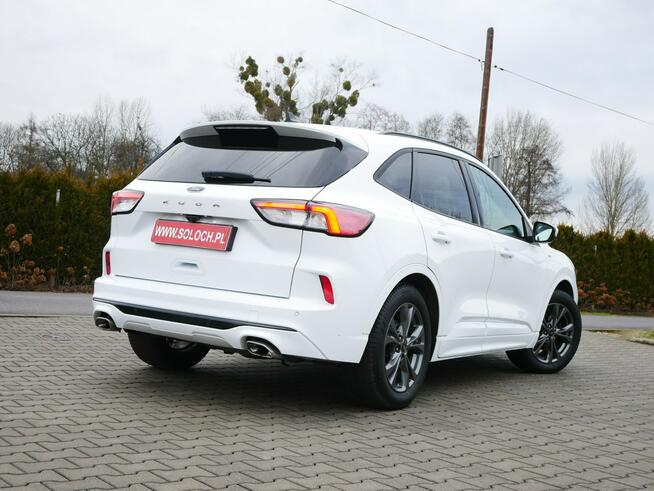 Ford Kuga 1.5 EcoBlue 120KM Eu6 St-Line -Automat 8b. - Zobacz
