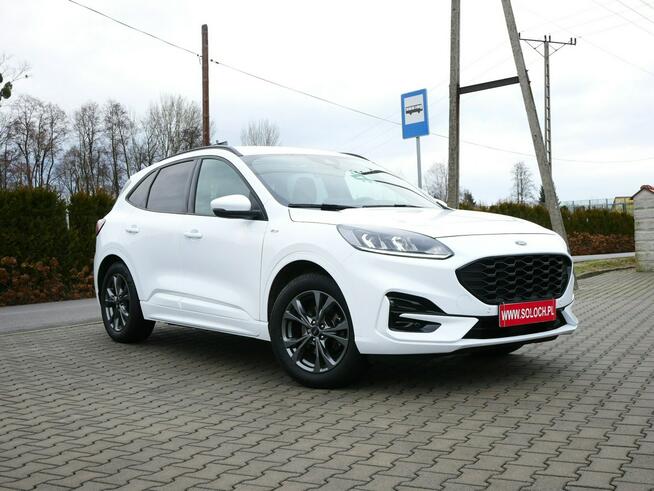 Ford Kuga 1.5 EcoBlue 120KM Eu6 St-Line -Automat 8b. - Zobacz