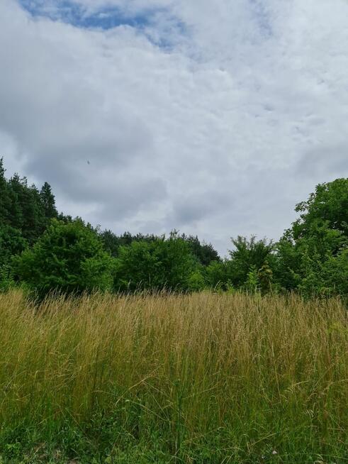Działka budowlana Oleszno gm. Krasocin,