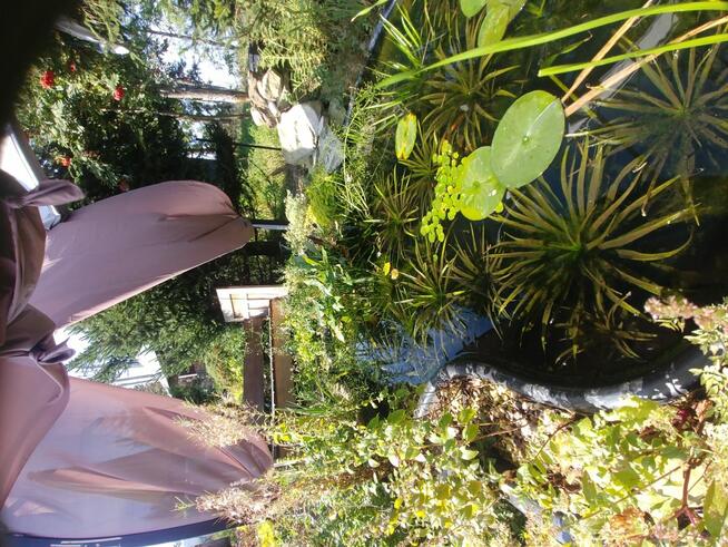 Działka budowlana Biały Dunajec,