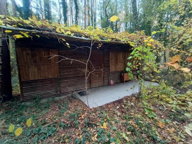 Działka siedliskowa Wieliszew,