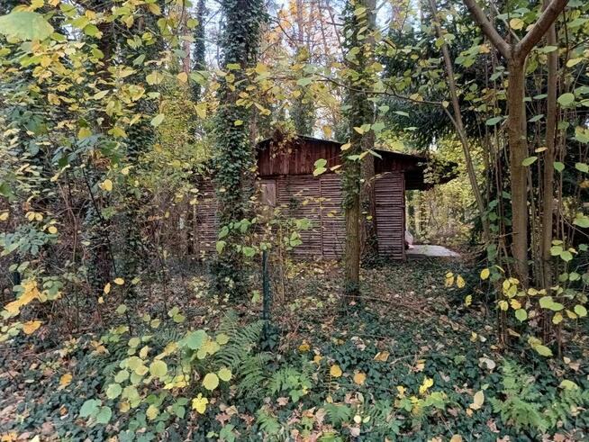 Działka siedliskowa Wieliszew,