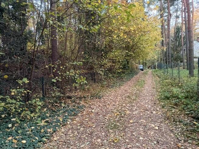 Działka siedliskowa Wieliszew,