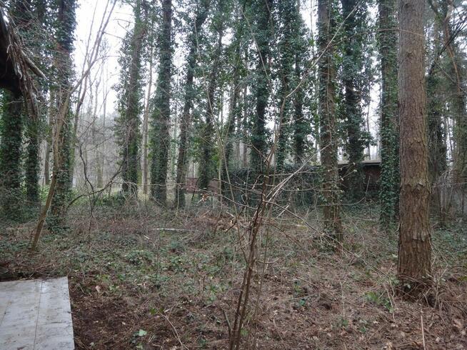 Działka siedliskowa Wieliszew,