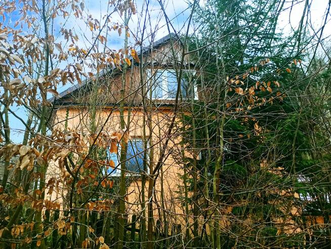 Leśna rezydencja z dostępem do S19 (zanim ceny wzrosną)