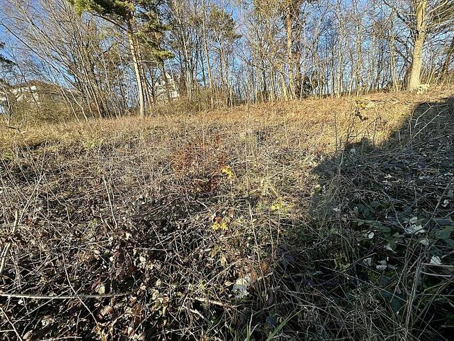 POLECAMY! 124G Trzetrzewina gmina Chełmiec, działka budowlan