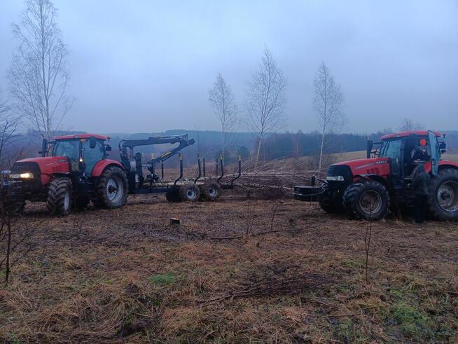 Przyjmę do pracy w lesie do pozyskania drewna pilarza oraz p