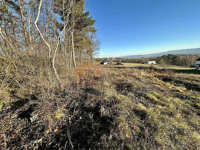 POLECAMY! 124G Trzetrzewina gmina Chełmiec, działka budowlan