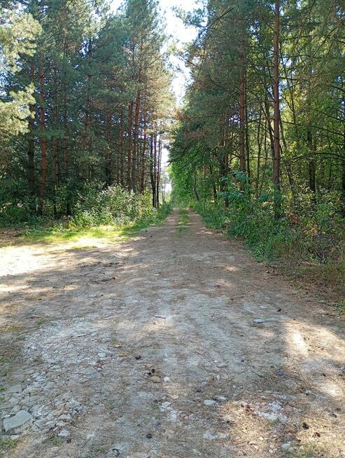 dom jednorodzinny z tarasem, Cyganka, gm. Dębe Wielkie