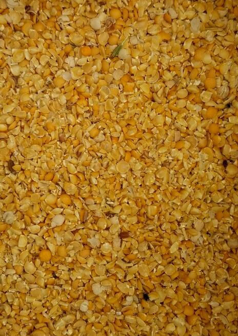 Groch Kruszony 25kg /wysyłka gratis Inpost