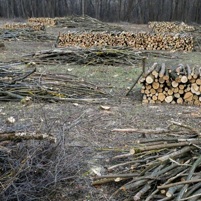 Drewno kominkowe opałowe