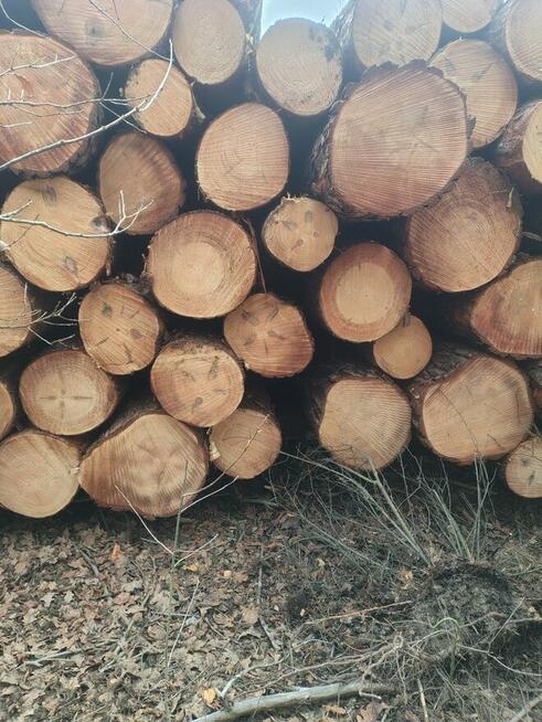 Drewno kominkowe opałowe