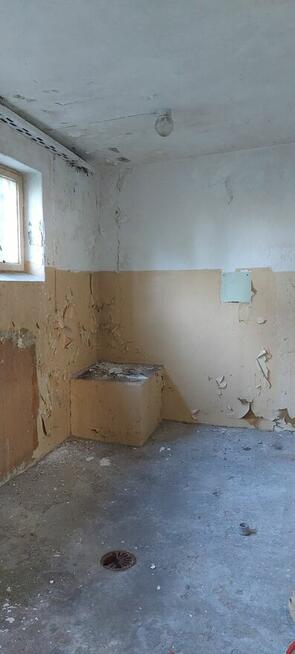 Zlewnia / Mleczarnia