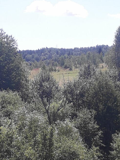 Sprzedam gospodarstwo